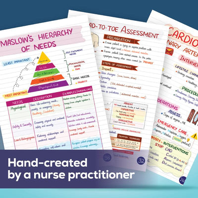 Elvera - Ultimate Nursing Success Bundle